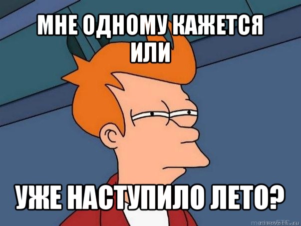 мне одному кажется или уже наступило лето?, Мем  Фрай (мне кажется или)