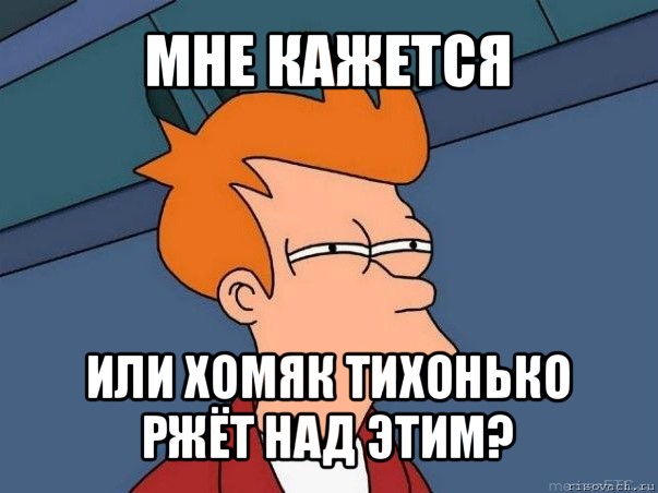 мне кажется или хомяк тихонько ржёт над этим?, Мем  Фрай (мне кажется или)