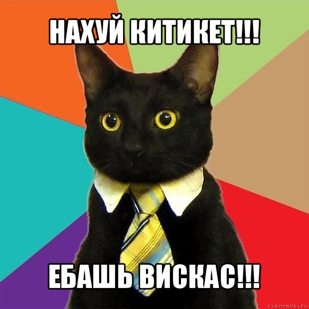 нахуй китикет!!! ебашь вискас!!!, Мем  Кошечка