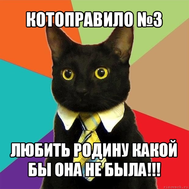 котоправило №3 любить родину какой бы она не была!!!