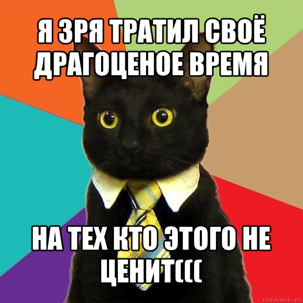 я зря тратил своё драгоценое время на тех кто этого не ценит(((, Мем  Кошечка