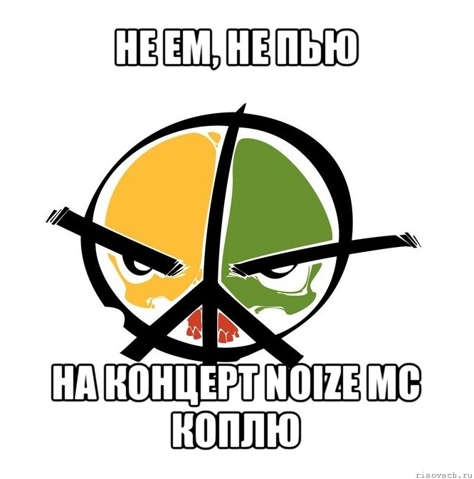 не ем, не пью на концерт noize mc коплю