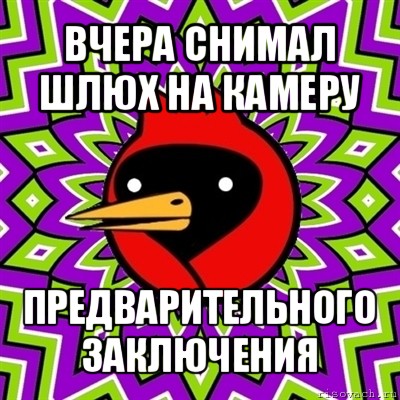 вчера снимал шлюх на камеру предварительного заключения, Мем Омская птица