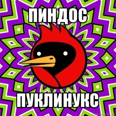 пиндос пуклинукс, Мем Омская птица