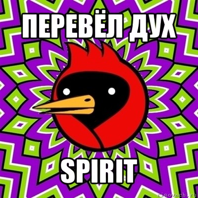 перевёл дух spirit, Мем Омская птица