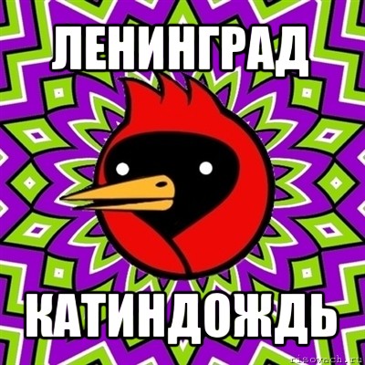 ленинград катиндождь, Мем Омская птица