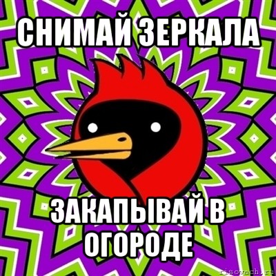 снимай зеркала закапывай в огороде, Мем Омская птица