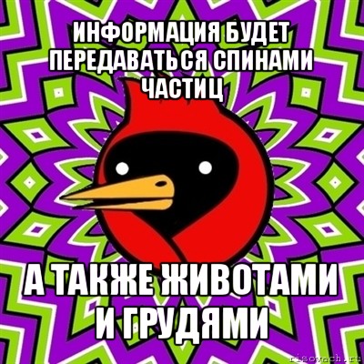 информация будет передаваться спинами частиц а также животами и грудями, Мем Омская птица