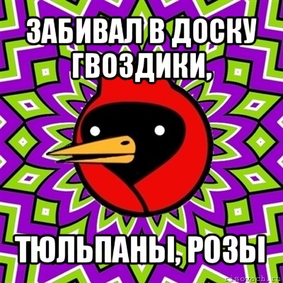 забивал в доску гвоздики, тюльпаны, розы, Мем Омская птица