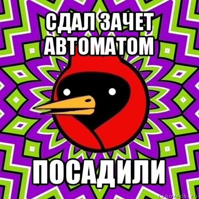 сдал зачет автоматом посадили, Мем Омская птица