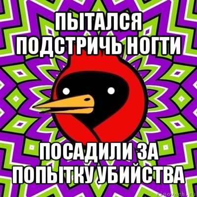 пытался подстричь ногти посадили за попытку убийства, Мем Омская птица