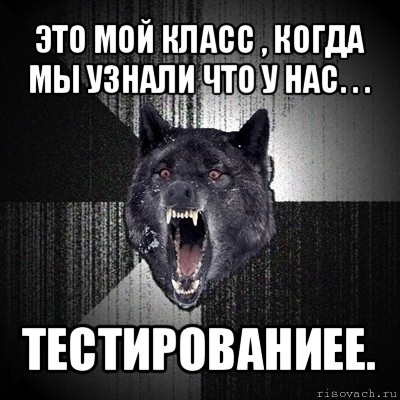 это мой класс , когда мы узнали что у нас. . . тестированиее., Мем Сумасшедший волк