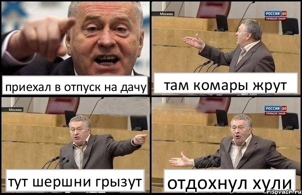 приехал в отпуск на дачу там комары жрут тут шершни грызут отдохнул хули, Комикс Жириновский