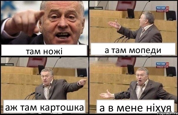 там ножі а там мопеди аж там картошка а в мене ніхуя, Комикс Жириновский