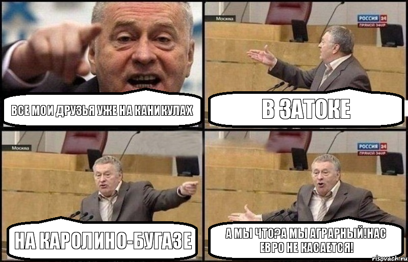 все мои друзья уже на каникулах в затоке на каролино-бугазе а мы что?а мы аграрный!нас евро не касается!, Комикс Жириновский