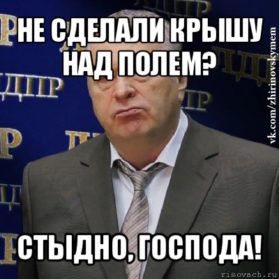 не сделали крышу над полем? стыдно, господа!, Мем Хватит это терпеть (Жириновский)