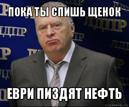 пока ты спишь щенок еври пиздят нефть, Мем Хватит это терпеть (Жириновский)