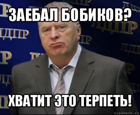 заебал бобиков? хватит это терпеть!, Мем Хватит это терпеть (Жириновский)