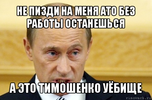 не пизди на меня ато без работы останешься а это тимошенко уёбище, Мем путин