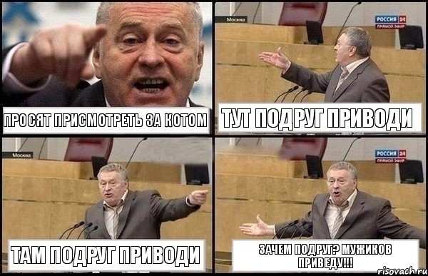 просят присмотреть за котом тут подруг приводи там подруг приводи зачем подруг? мужиков приведу!!!, Комикс Жириновский