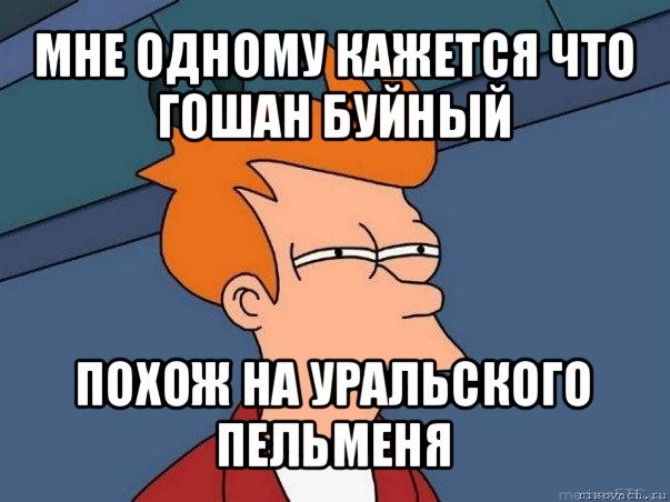 мне одному кажется что гошан буйный похож на уральского пельменя, Мем  Фрай (мне кажется или)