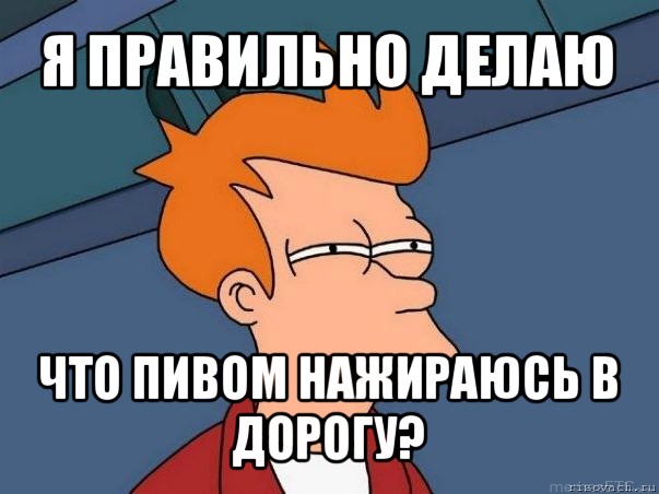 я правильно делаю что пивом нажираюсь в дорогу?, Мем  Фрай (мне кажется или)