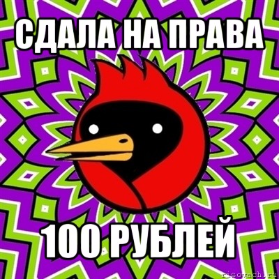 сдала на права 100 рублей, Мем Омская птица