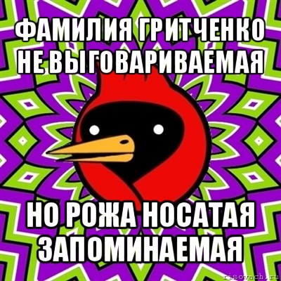 фамилия гритченко не выговариваемая но рожа носатая запоминаемая, Мем Омская птица