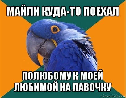 майли куда-то поехал полюбому к моей любимой на лавочку, Мем Попугай параноик