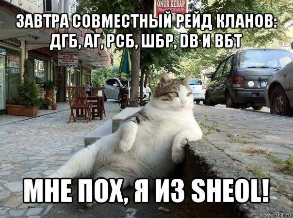 завтра совместный рейд кланов: дгб, аг, рсб, шбр, db и вбт мне пох, я из sheol!