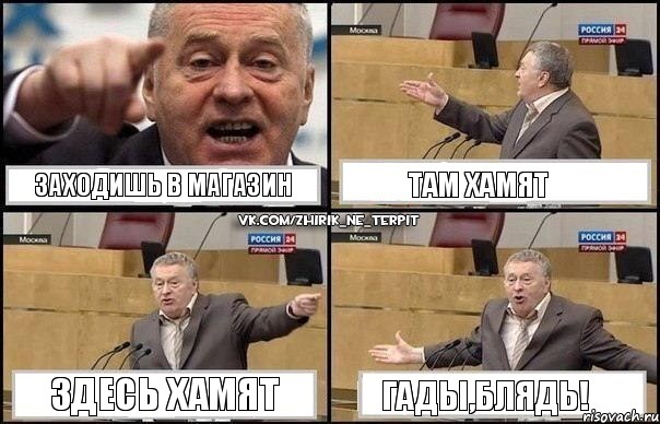 Заходишь в магазин Там хамят Здесь хамят Гады,блядь!, Комикс Жириновский