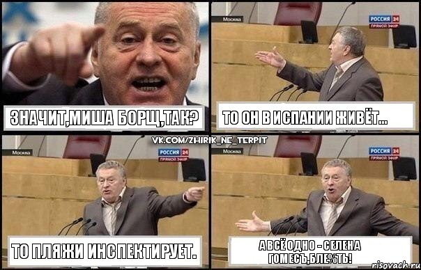 Значит,Миша Борщ,так? То он в Испании живёт... То пляжи инспектирует. А всё одно - Селена ГомесЪ,бле%ть!, Комикс Жириновский