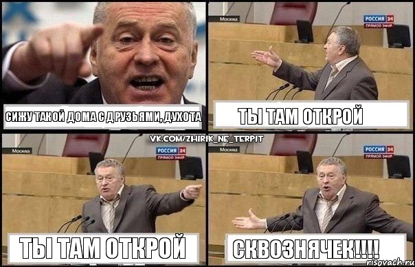 сижу такой дома с друзьями, духота ты там открой ты там открой сквознячек!!!, Комикс Жириновский