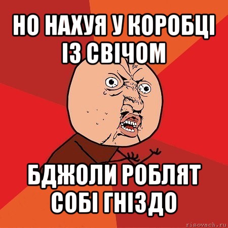 но нахуя у коробці із свічом бджоли роблят собі гніздо, Мем Почему