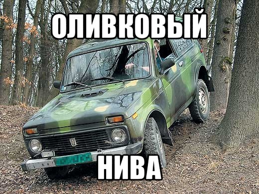 оливковый нива