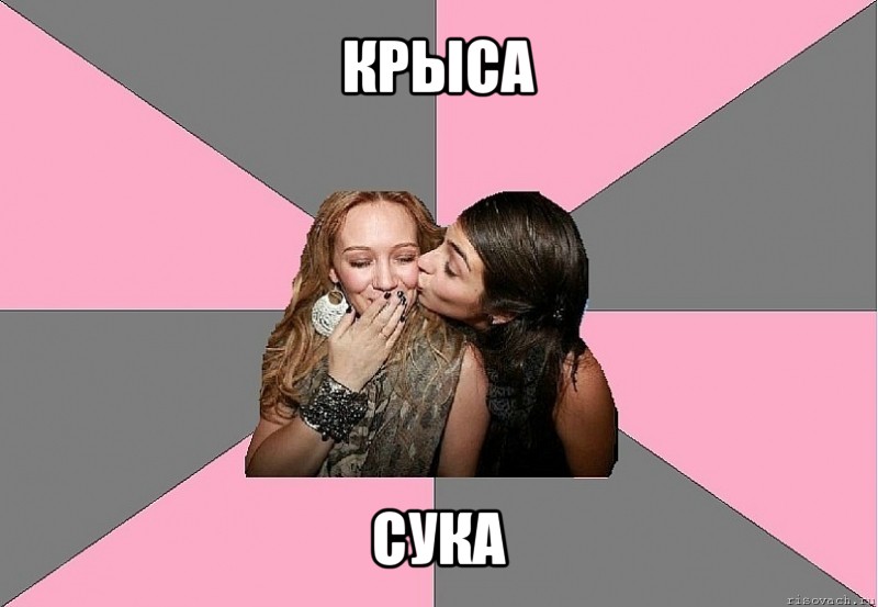 крыса сука