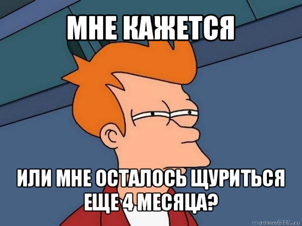 мне кажется или мне осталось щуриться
еще 4 месяца?, Мем  Фрай (мне кажется или)