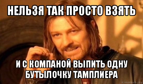 нельзя так просто взять и с компаной выпить одну бутылочку тамплиера, Мем Нельзя просто так взять и (Боромир мем)