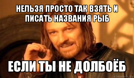 нельзя просто так взять и писать названия рыб если ты не долбоёб, Мем Нельзя просто так взять и (Боромир мем)