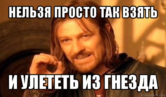 нельзя просто так взять и улететь из гнезда, Мем Нельзя просто так взять и (Боромир мем)