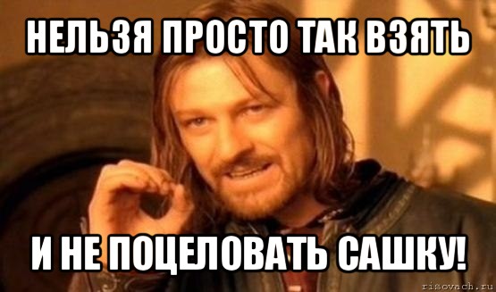 нельзя просто так взять и не поцеловать сашку!, Мем Нельзя просто так взять и (Боромир мем)