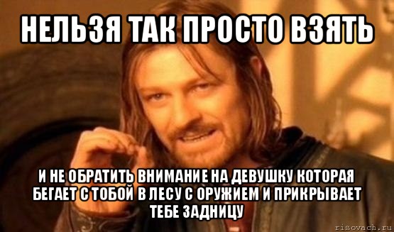 нельзя так просто взять и не обратить внимание на девушку которая бегает с тобой в лесу с оружием и прикрывает тебе задницу, Мем Нельзя просто так взять и (Боромир мем)