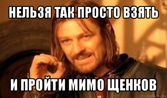 нельзя так просто взять и пройти мимо щенков, Мем Нельзя просто так взять и (Боромир мем)