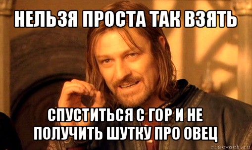 нельзя проста так взять спуститься с гор и не получить шутку про овец, Мем Нельзя просто так взять и (Боромир мем)