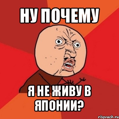 ну почему я не живу в японии?, Мем Почему