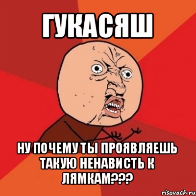 гукасяш ну почему ты проявляешь такую ненависть к лямкам???, Мем Почему