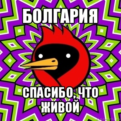 болгария спасибо, что живой, Мем Омская птица