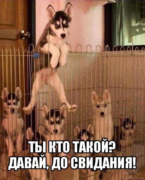  ты кто такой? давай, до свидания!