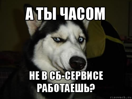 а ты часом не в СБ-Сервисе работаешь?, Комикс  Собака подозревака