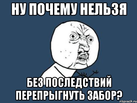 ну почему нельзя без последствий перепрыгнуть забор?, Мем Ну почему